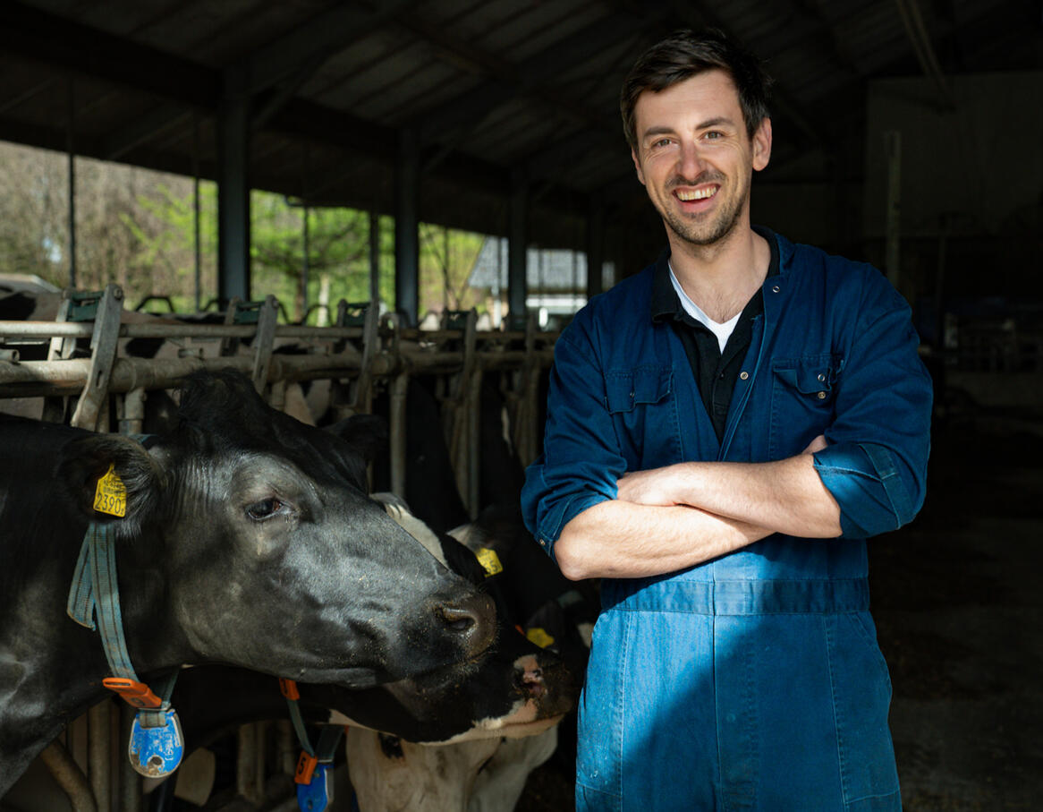 Hier is de kaasboer afgebeeld tussen de koeien op de boerderij.
