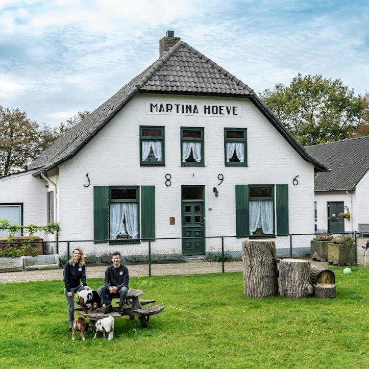 Kaasboerderij Martina Hoeve Boerderijwinkel met boerenkaas, boerderijkaas, yoghurt, vla, honing van eigen boerderij.